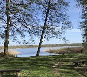 Kein Bild vorhanden